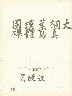 国模叶桐大尺度裸体写真