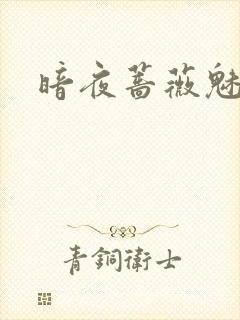暗夜蔷薇魅
