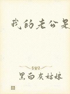 我的老公是军阀