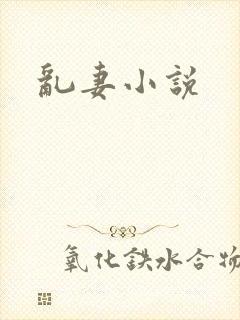 乱妻小说