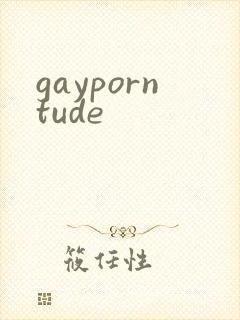 gayporntude