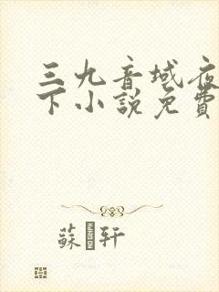 三九音域夜幕之下小说免费阅读封面