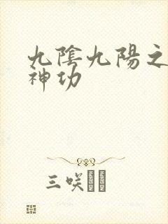 九阴九阳之阴阳神功