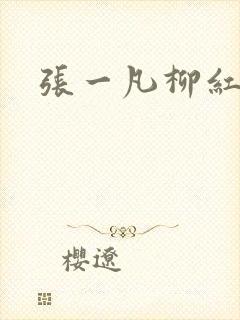 张一凡柳红封面