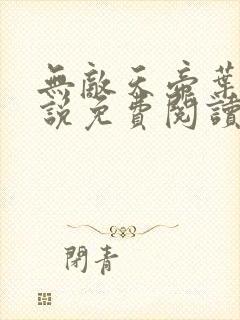 无敌天帝叶凡小说免费阅读封面