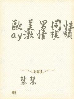 欧美男同性恋gay激情视频