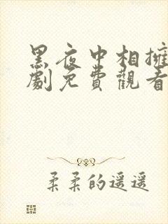 黑夜中相拥电视剧免费观看