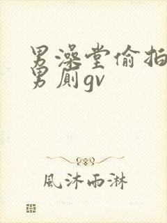 男澡堂偷拍gv男厕gv封面