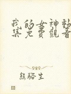 我的女神动漫全集免费观看