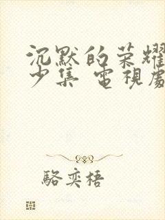 沉默的荣耀共多少集 电视剧免费观看