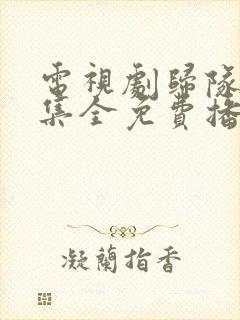 电视剧归队40集全免费播放