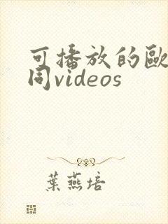 可播放的欧美男同videos