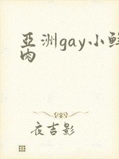 亚洲gay小鲜肉