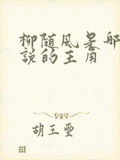 柳随风是哪部小说的主角