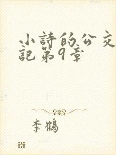小诗的公交车日记第9章封面