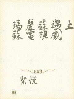 玛丽苏遇上杰克苏电视剧封面