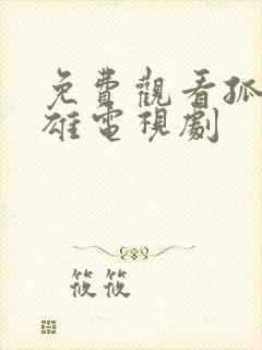 免费观看孤军英雄电视剧