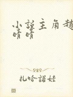 小说主角赵旭李晴晴