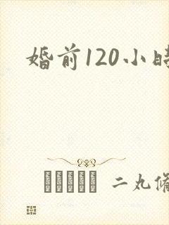 婚前120小时封面
