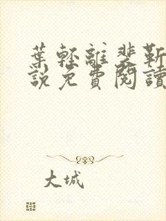 叶轻离裴靳墨小说免费阅读无弹窗