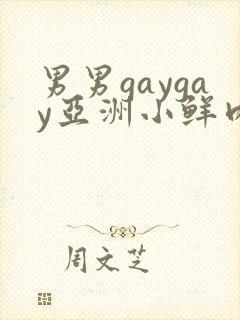 男男gaygay亚洲小鲜肉网站