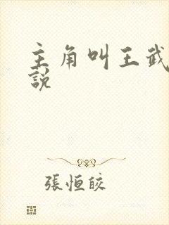 主角叫王武的小说