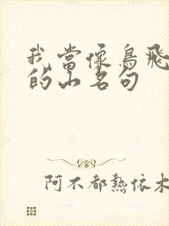 我当像鸟飞往你的山名句