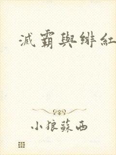 灭霸与绯红女巫封面