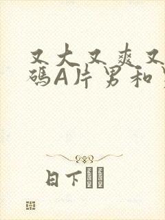 又大又爽又黄无码A片男和男