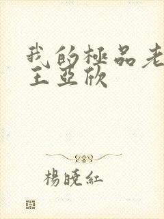 我的极品老婆 王亚欣封面