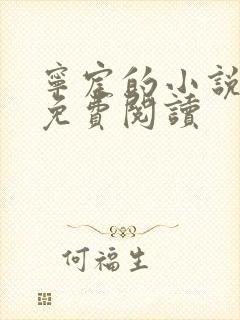 宁宸的小说全文免费阅读