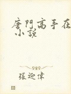 唐门高手在异世 小说