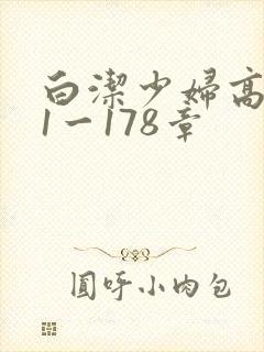 白洁少妇高义第1一178章