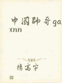 中国帅哥gayxnn