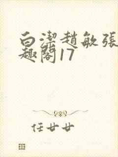 白洁赵敏张倩笔趣阁17封面