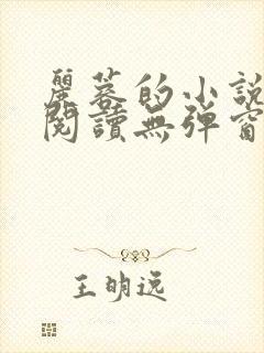 丽蓉的小说全文阅读无弹窗