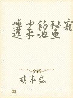 傅少的秘宠娇妻迟禾池鱼封面