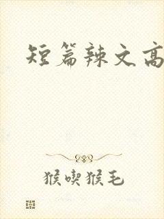 短篇辣文高h封面