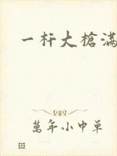 一杆大枪满屋扫封面