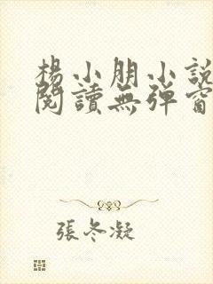 杨小朋小说免费阅读无弹窗