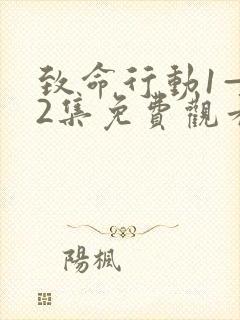 致命行动1—42集免费观看