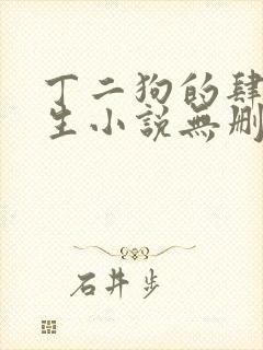 丁二狗的肆意人生小说无删减txt封面