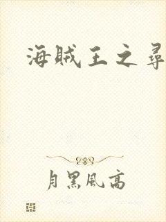 海贼王之寻亲记