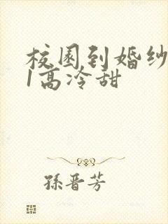 校园到婚纱1V1高冷甜