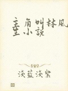 主角叫林风的重生小说