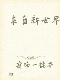 来自新世界小说封面