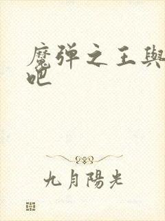 魔弹之王与战姬吧