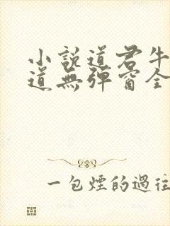 小说道君牛有_道无弹窗全文免费阅读