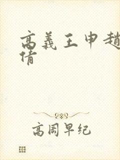 高义王申赵振孙倩封面