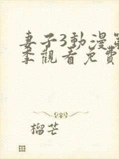 妻子3动漫第三季观看免费